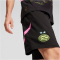 PUMA PSV Eindhoven Shorts 2024/25 Herren