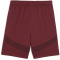 PUMA Manchester City FC Shorts 2024/25 Kinder