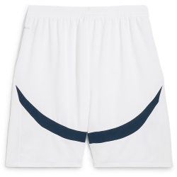 PUMA Manchester City FC Shorts 2024/25 Herren