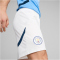 PUMA Manchester City FC Shorts 2024/25 Herren