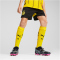 PUMA BVB Borussia Dortmund Shorts 2024/25 Kinder