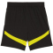 PUMA BVB Borussia Dortmund Shorts 2024/25 Kinder