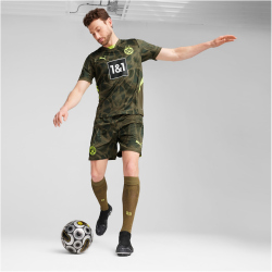 PUMA BVB Borussia Dortmund Torwarttrikot 2024/25 Herren