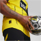 PUMA BVB Borussia Dortmund Authentic Heimtrikot 2024/25 Herren