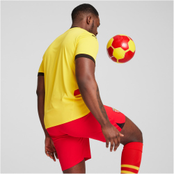 PUMA RC Lens Heimtrikot 2024/25 Herren