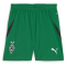 PUMA Borussia Mönchengladbach Shorts 2024/25 Kinder