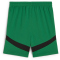 PUMA Borussia Mönchengladbach Shorts 2024/25 Kinder