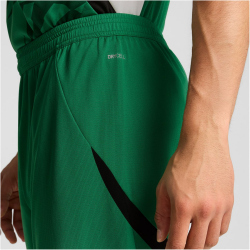 PUMA Borussia M&ouml;nchengladbach Shorts 2024/25 Herren