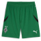 PUMA Borussia Mönchengladbach Shorts 2024/25 Herren