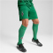 PUMA Borussia Mönchengladbach Shorts 2024/25 Herren
