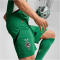 PUMA Borussia Mönchengladbach Shorts 2024/25 Herren