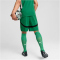 PUMA Borussia Mönchengladbach Shorts 2024/25 Herren