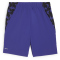 PUMA Active Sports Woven Print Trainingsshorts Jungen