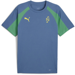 PUMA Neymar Jr. BNA Trikot 2.0 Herren