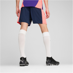 PUMA individualFINAL Shorts Herren