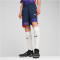 PUMA individualFINAL Shorts Herren