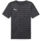 PUMA individualRISE Graphic Trikot Herren