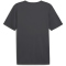 PUMA individualRISE Graphic Trikot Herren