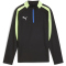 PUMA IndividualLIGA 1/4-Zip Trainings-Top Kinder