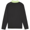 PUMA IndividualLIGA 1/4-Zip Trainings-Top Kinder