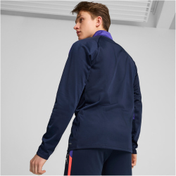 PUMA IndividualLIGA 1/4-Zip Trainings-Top Herren