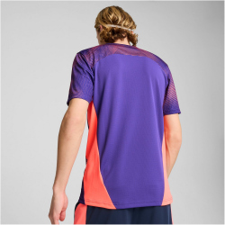 PUMA individualFINAL Trikot Herren