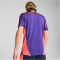 PUMA individualFINAL Trikot Herren
