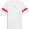 PUMA individualRISE Trikot Herren