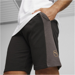 PUMA King Top Sweatshorts Herren