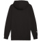 PUMA Mercedes-AMG Petronas Essentials Hoodie Herren