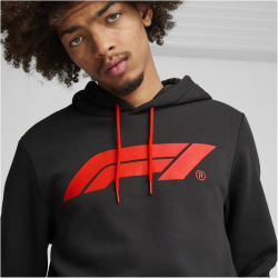 PUMA Formel 1 Essentials Logo Fleece Hoodie Herren