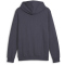 PUMA Essentials Big Logo French Terry Hoodie Herren