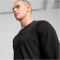 PUMA Seasons DryCELL langarm Laufshirt Herren