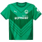 PUMA Greuther F&uuml;rth Ausw&auml;rtstrikot 2024/25 Herren 02 - sport green/power green M