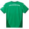 PUMA Greuther F&uuml;rth Ausw&auml;rtstrikot 2024/25 Herren 02 - sport green/power green M
