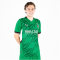 PUMA Borussia Mönchengladbach Auswärtstrikot 2024/25 mit Sponsor Herren 07 - archive green/puma white L