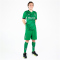 PUMA Borussia Mönchengladbach Auswärtstrikot 2024/25 mit Sponsor Herren 07 - archive green/puma white L