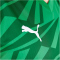 PUMA Borussia Mönchengladbach Auswärtstrikot 2024/25 mit Sponsor Herren 07 - archive green/puma white L