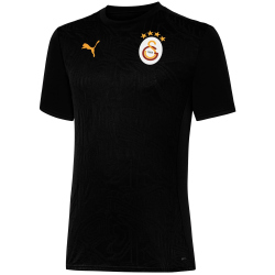 PUMA Galatasaray Istanbul Trainingsshirt Herren 03 - PUMA...