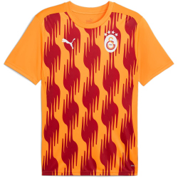 PUMA Galatasaray Istanbul Aufwärmshirt 2024/25...