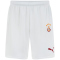 PUMA Galatasaray Istanbul Heimshorts 2024/25 ohne Sponsor Herren 02 - PUMA white/red rhythm S