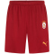 PUMA Galatasaray Istanbul Heimshorts 2024/25 ohne Sponsor Herren 01 - red rhythm/intense orange S