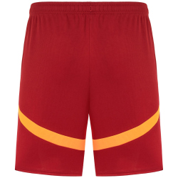 PUMA Galatasaray Istanbul Heimshorts 2024/25 ohne Sponsor...