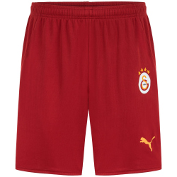 PUMA Galatasaray Istanbul Heimshorts 2024/25 ohne Sponsor...