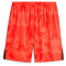 PUMA FC St. Pauli Torwartshorts 2024/25 Herren 36 - neon sun/hot heat XL