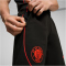 PUMA FC St. Pauli Casuals Sweatshorts Herren 07 - PUMA black/PUMA red S