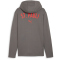 PUMA FC St. Pauli Casuals Kapuzenjacke Herren 06 - flat medium gray/puma red S