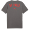 PUMA FC St. Pauli Casuals T-Shirt Herren 06 - flat medium gray/puma red L