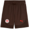 PUMA FC St. Pauli Trainingsshorts Herren 05 - dark chocolate/puma red L