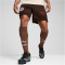 PUMA FC St. Pauli Trainingsshorts Herren 05 - dark chocolate/puma red L